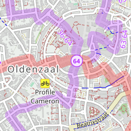 An OpenCycleMap tile showing cycle routes in Oldenzaal